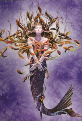 Elfennixe mit Papageienfischen