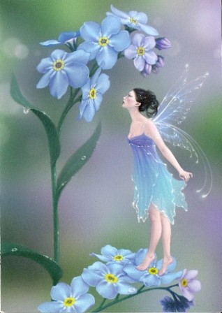 Forget-Me-Not Fairy