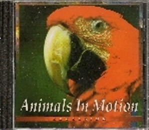 Animals in Motion - Relaxing with Nature
