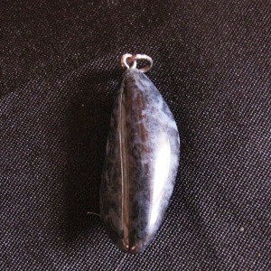 Dumortiriet Anhänger