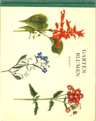 Gartenblumen 1 - Antiquität 