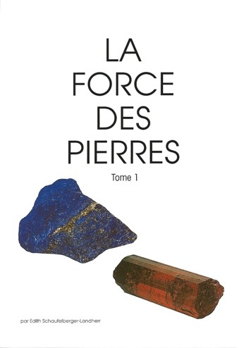 La Force des Pierres, tome 1
