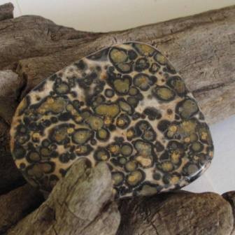 Leopardenjaspis Scheiben