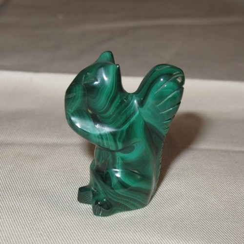 Malachit Eichhörnchen