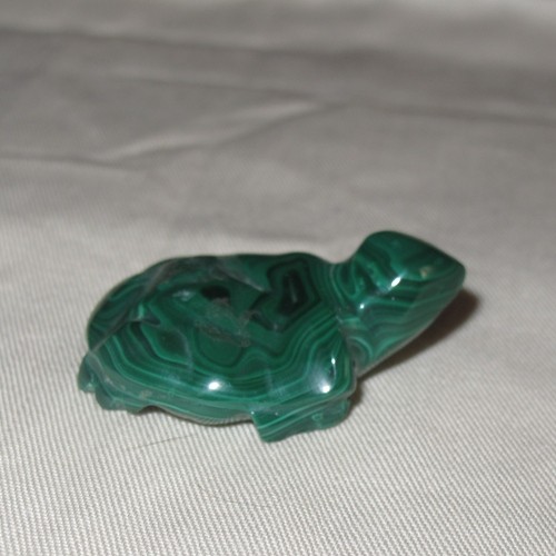 Malachit Schildkröte 03