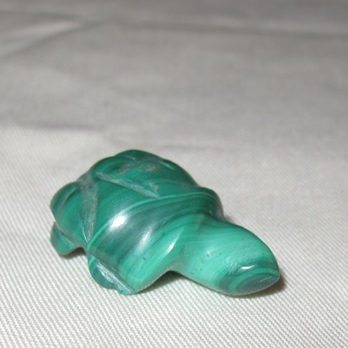 Malachit Schildkröte 05