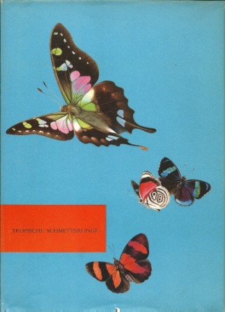 Tropische Schmetterlinge