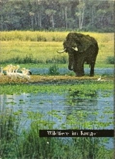 Wildtiere im Kongo - Antiquität