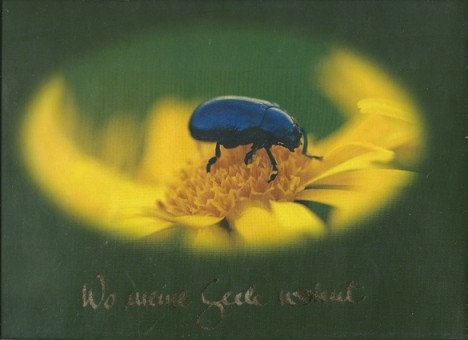 Wo meine Seele wohnt