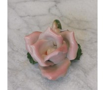 Rose Porzellan
