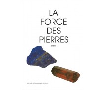 La Force des Pierres, tome 1