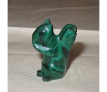 Malachit Eichhörnchen