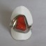 Korallen Silberring 57