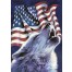 Wolf USA