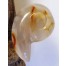 Achat Schnecke 2