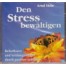 Den Stress bewältigen