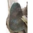 Heliotrop Scheibe