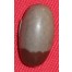 Narmada Shivalingam